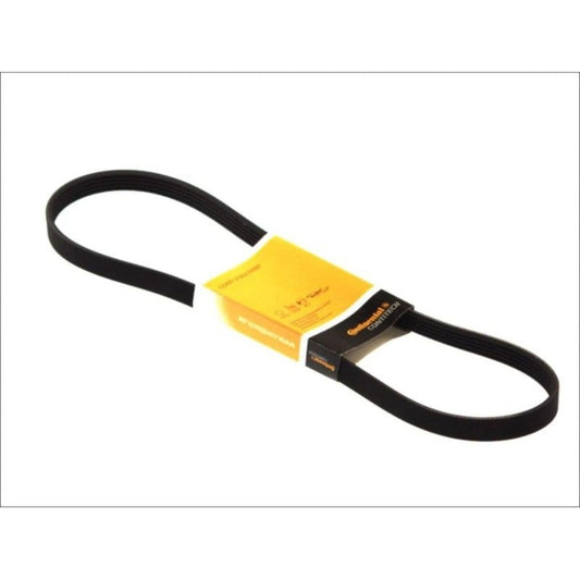 Cinghia Servizi 500 Abarth FIAT ABARTH CONTINENTAL RINFORZATA